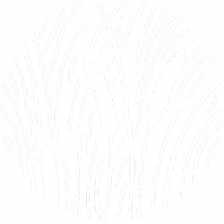 Desertgrass